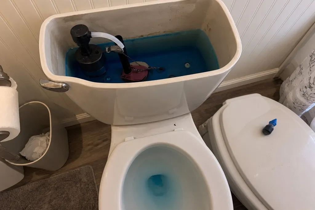 Blue food coloring dye test showing a silent toilet leak into the bowl