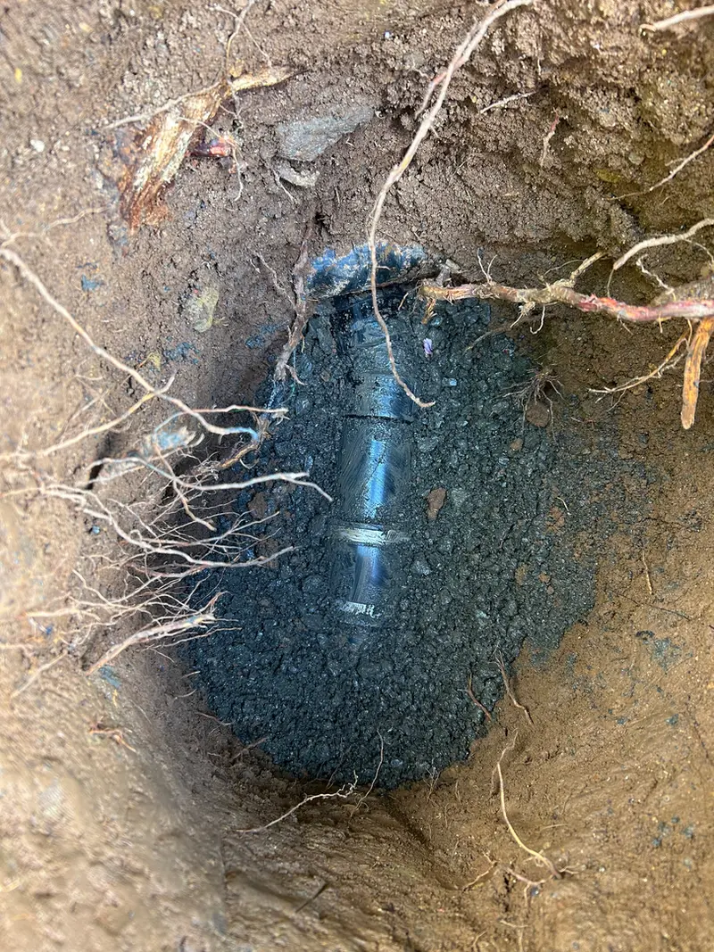 Underground sewer line repair through tree roots in Gresham, Oregon, sewer repair and drain cleaning by Bigfoot Plumbing